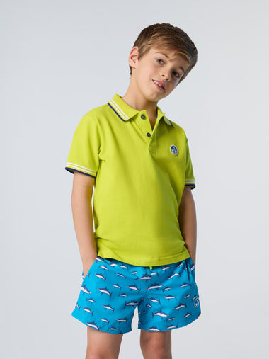 2 | Kükürt Sarısı