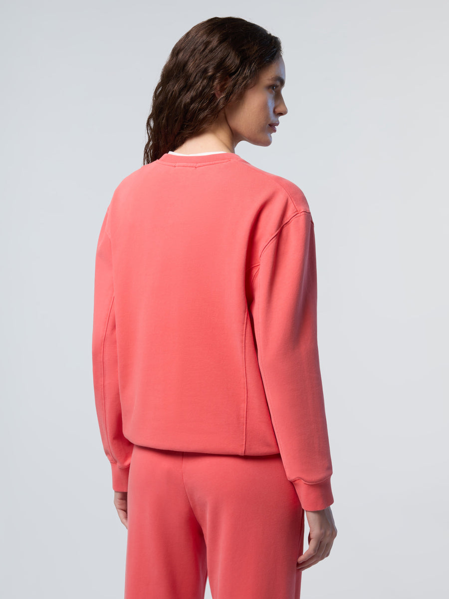 3 | Mercan Narçiçeği