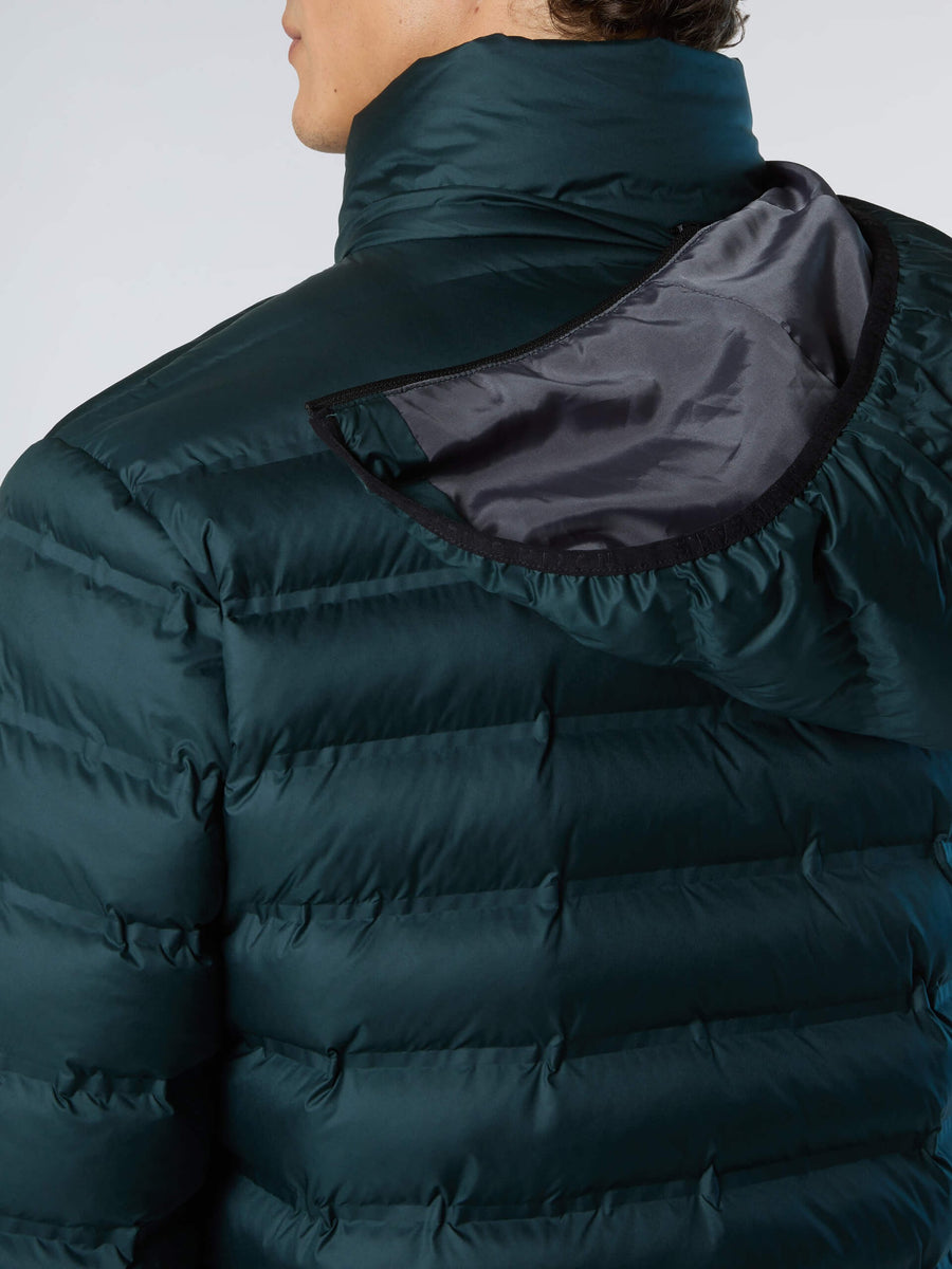 6 | Gizemli Orman Yeşili